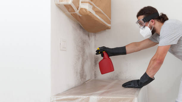 Professional Commercial Mold Remediation technician working in Alpine, NJ